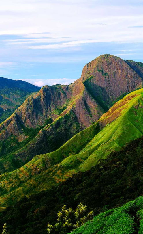 Green Valley View