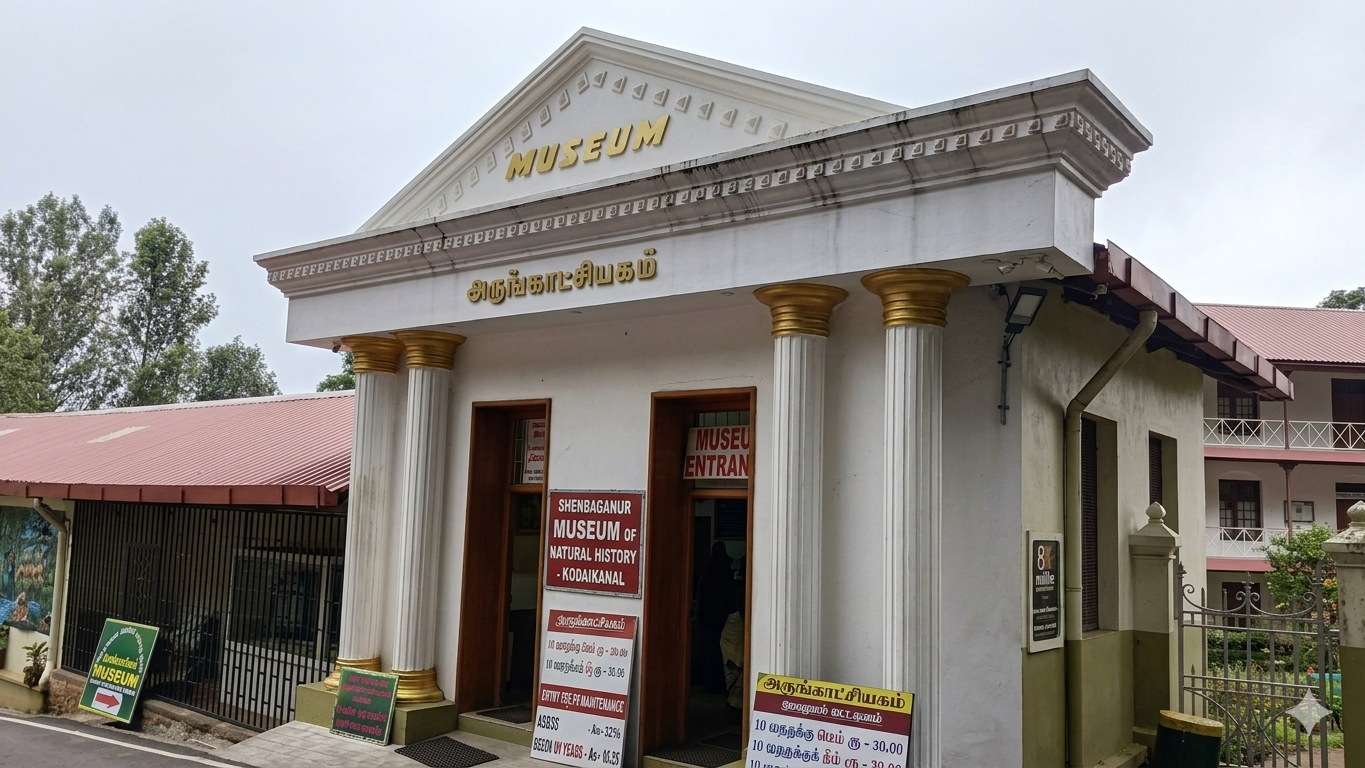 Museum