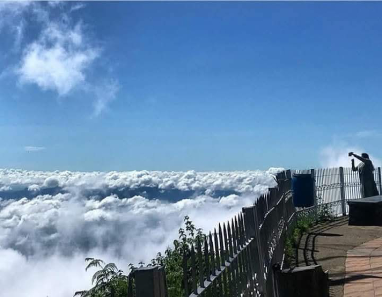 Kodaikanal Lake
