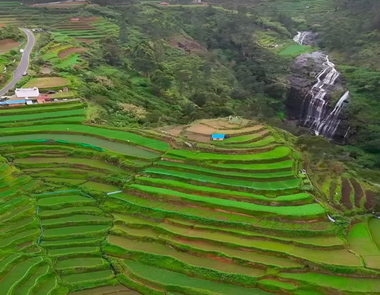 Green Valley View